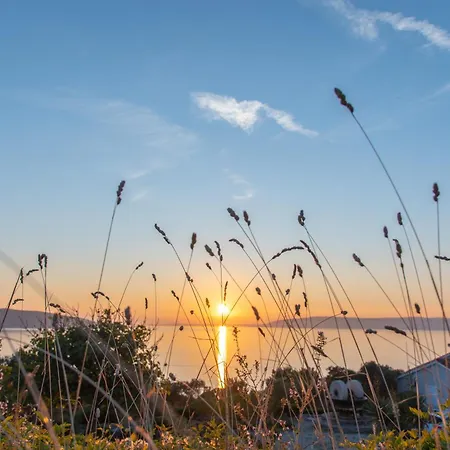 Stara Gavza 137 * ツレス