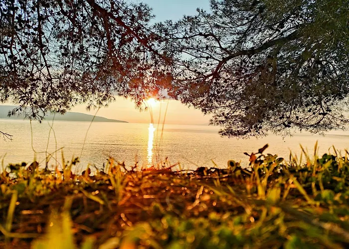 Apartman Stara Gavza 137 *