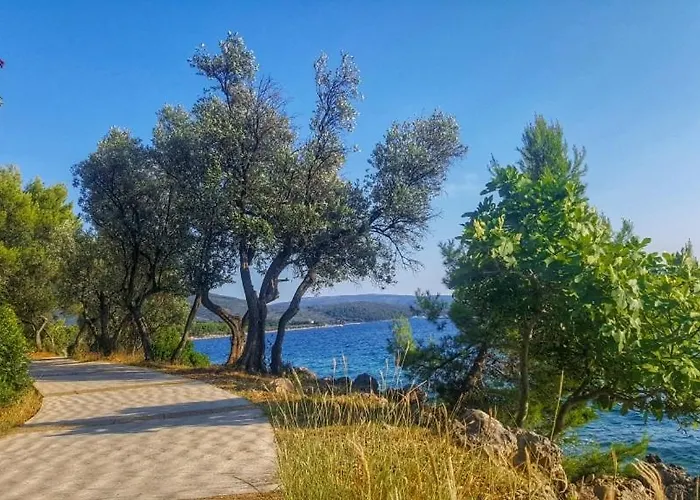 Apartman Stara Gavza 137 *